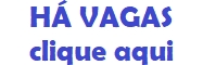 Curriculo Interativo